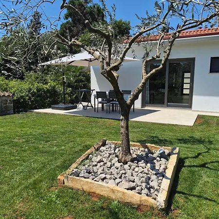 Mareya Premium Apartment