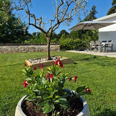 Mareya Premium Apartment Porec
