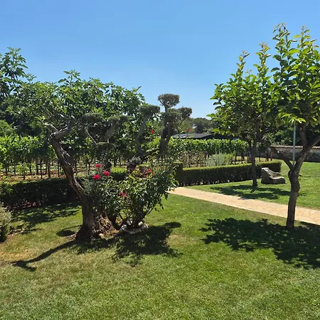 Mareya Premium Apartament